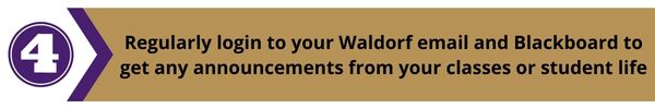 Waldorf email log-in